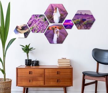 AcousticPro Hexagons
