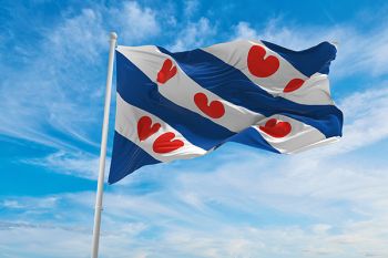 Friese Vlag
