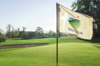 Golfvlag