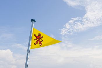 Puntvlag Zuid-Holland